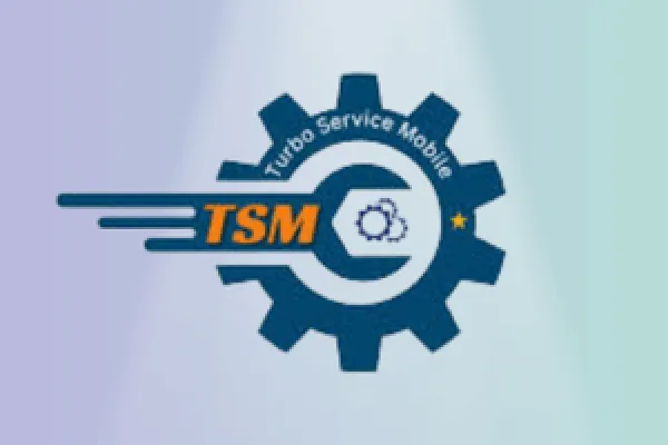 TSM Tool Rent [ 12 hours ] GSM